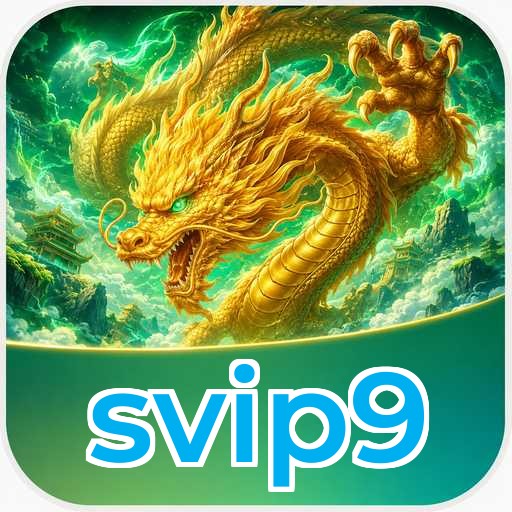 Version History svip9