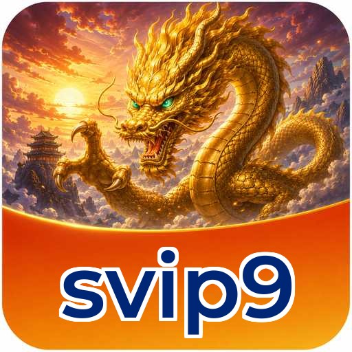 Privacy & Security svip9